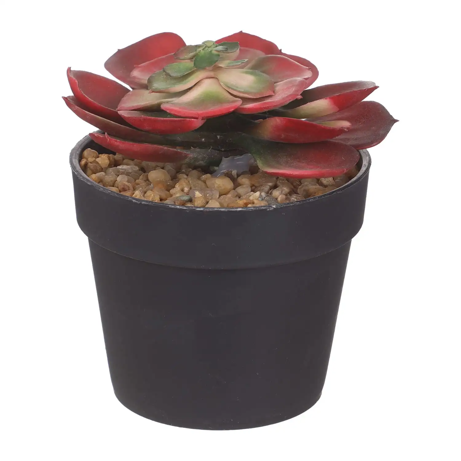 فازه بلاستيك مستديرة