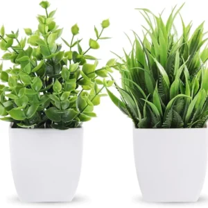 اناء زرع بلاستيك ، 2 قطع - ابيض اخضر