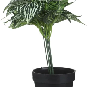 فازة بلاستيك مستديره بورق شجر