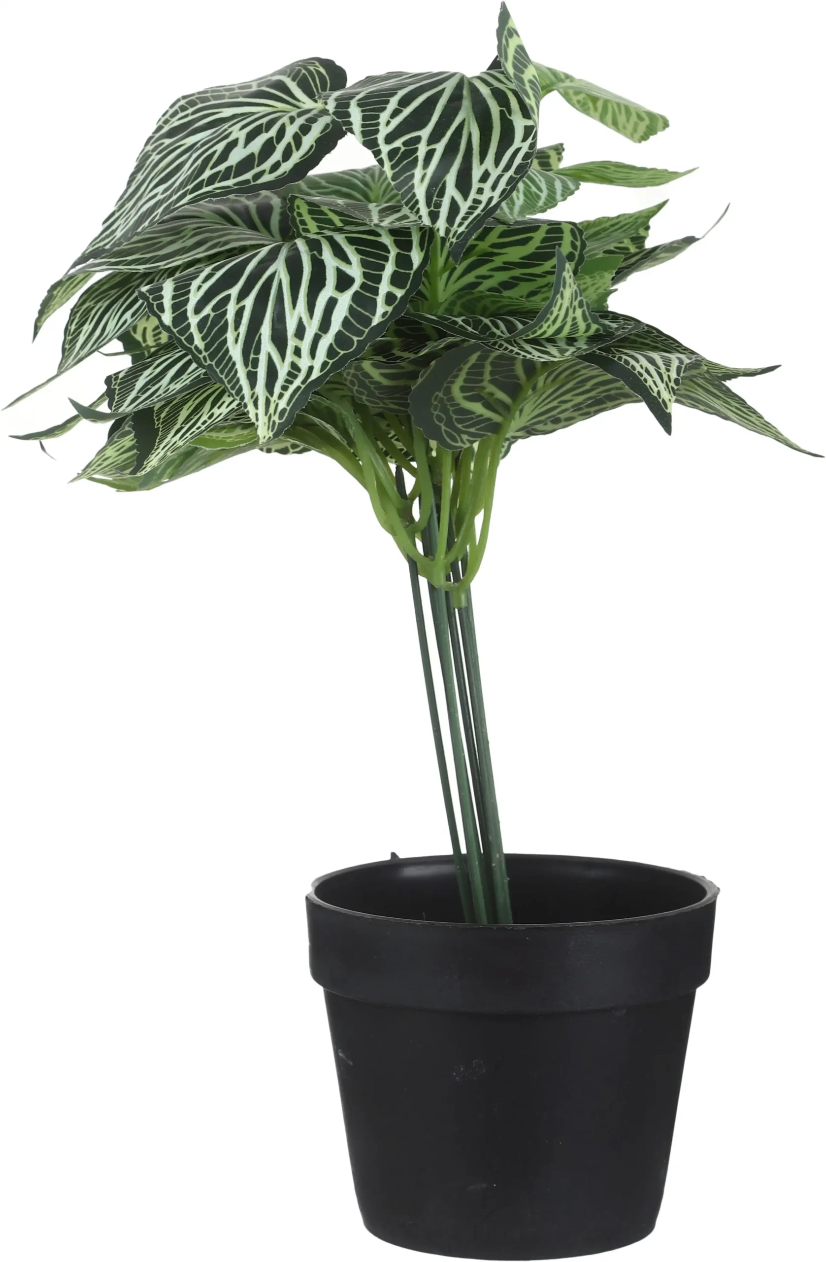 فازة بلاستيك مستديره بورق شجر