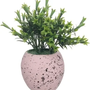 اناء زرع ، بلاستيك فخار - ابيض اخضر